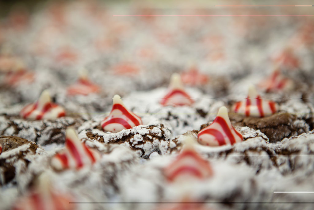 Christmas (24 of 16)