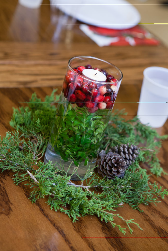 Christmas (28 of 16)