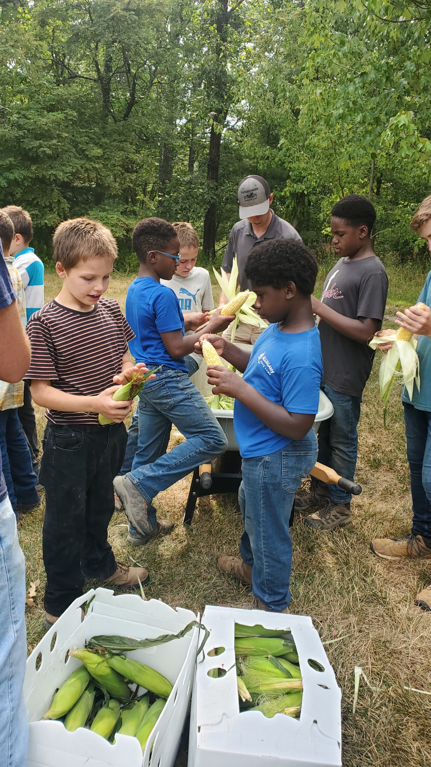 Allegany Boys Camp 3